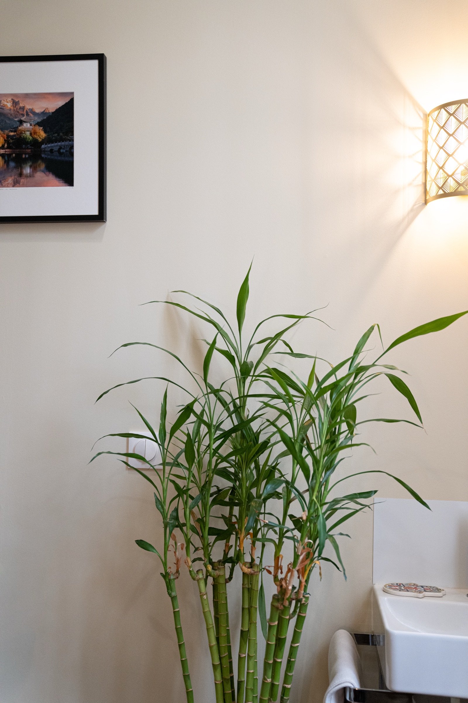 Cabinet d'ostéopathie, 18 rue Guersant, Paris 17